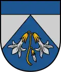 بلدية آداجي