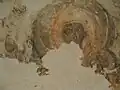 مريم ويسوع