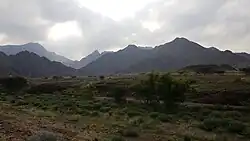 لربيع في زقت - ضدنا