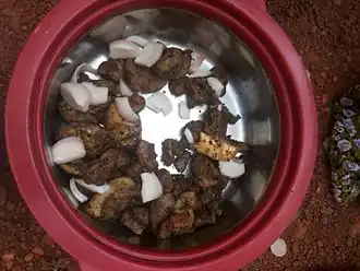 الشية_السودانية