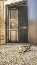 كنيسة القديس جاورجيوس أو كنيسة مار جريس أو&nbsp;كنيسة الخض