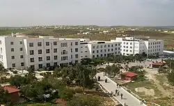 الكليات