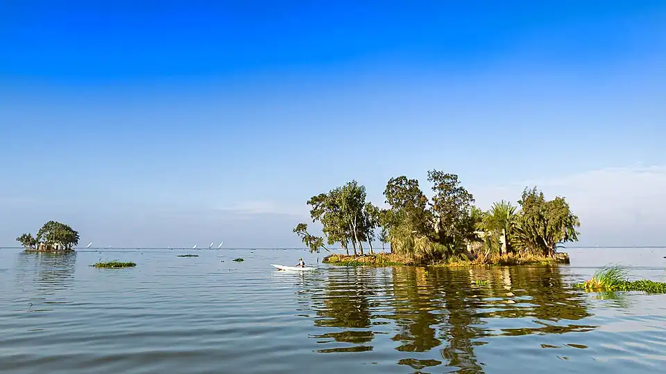 المنزل الجزيرة في البرلس