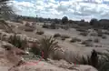 نفايات بجانب الواد في قصر الزاوية