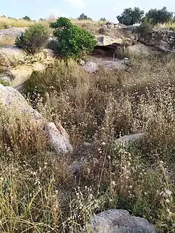 بيت باعر