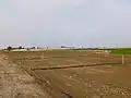تل كوزابنكا