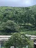 صورة من حبال ظفار