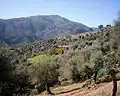 جبل سدات بسيدي عبد العزيز