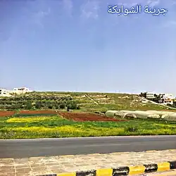 جرينة الشوابكة - Juraynah