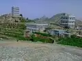 حبيل الطحلة