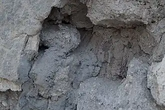 صدع في أحد جدران الحمام يُبيّن جزءاً من البنية الداخلية لحمام أبو لوزة وتظهر المواد المتكوّنة منها وهي أحجار الجصّ مع جذوع النخل.