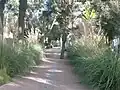 حديقة اولهاو بمدينة أكادير المغرب