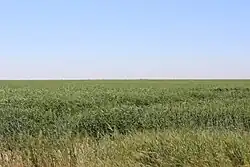 منطقة الجزيرة بين ناحيتي السلام والإصلاح
