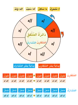 دائرة المتفق