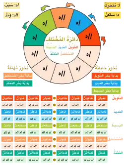 دائرة المختلف