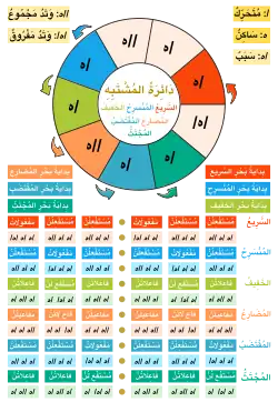 دائرة المشتبه