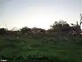 بقايا آثار القرية.