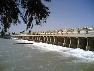 سدة الكوت