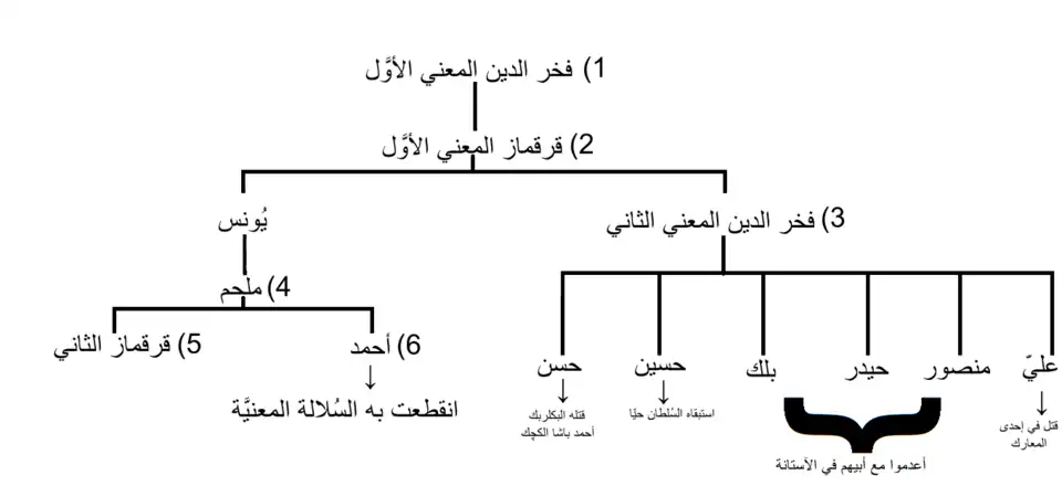 شجرة نسب أُمراء آل معن من فخر الدين الأوَّل حتّى أحمد.