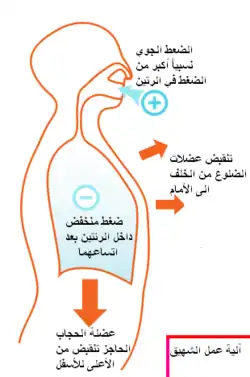 تعليق