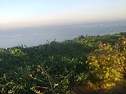 ساحل وهران