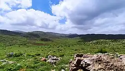 غابات جبل الحلو - حمص 2
