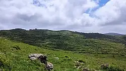 غابات جبل الحلو - حمص 4