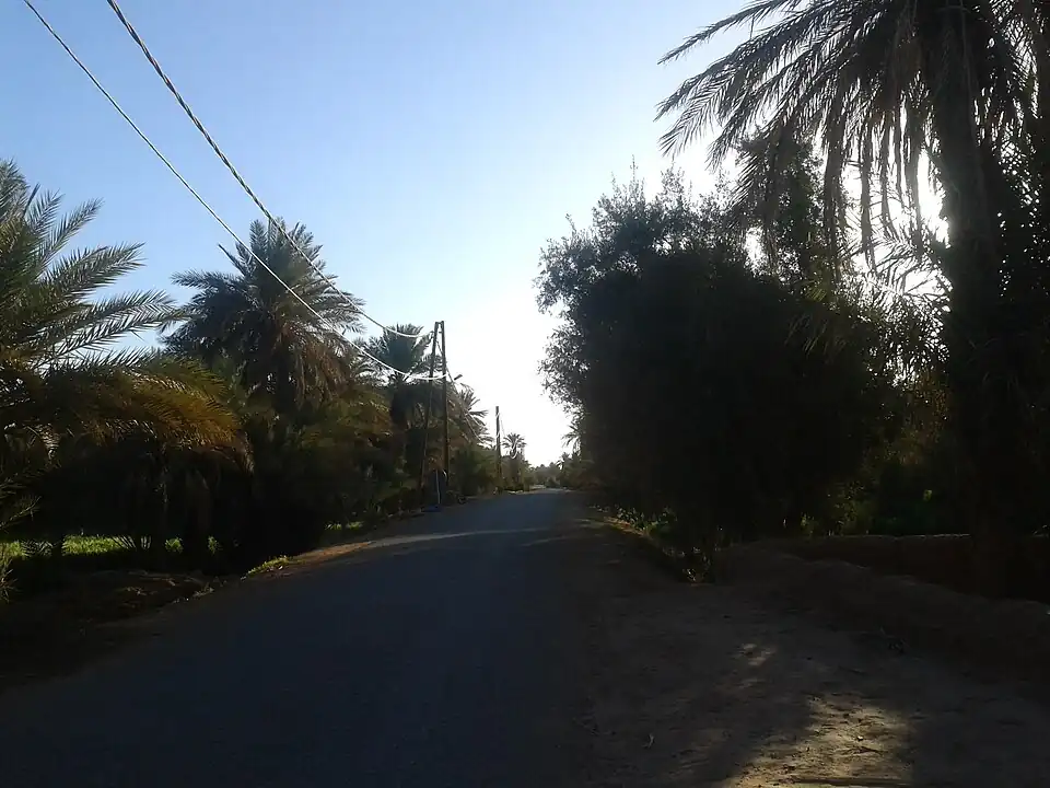 قصرور تنجداد