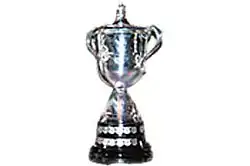 شكل الكأس (1978 - 1993) والذي احتفظ به الزمالك