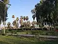 متنزه البيضويه - جبله