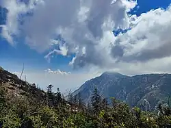 Cedar Reserve of Slunfeh