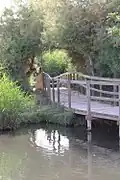 محمية الأزرق المائية