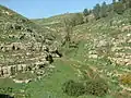 مدخل الباذان