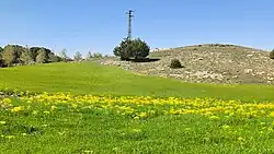 منظر قرب عين إفران