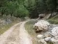 طريق وعرة في وادي الباذان مُحاطة بالأحراش