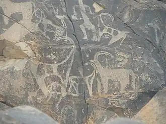 نقوش قديمة في وادي ملكان