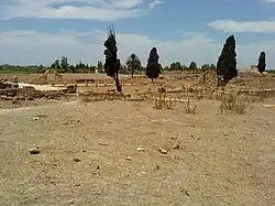وسط بناصا