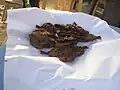 سمك_جبل أولياء