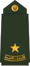 القوات البرية الاماراتية