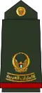 الإمارات