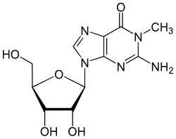 1-ميثيل غوانوسين