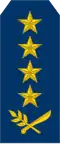 General de ejército(Nicaraguan Air Force)