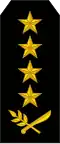 General de ejército(عسكرية نيكاراغوا)