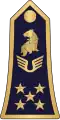 Général d'armée aérienne(Cameroon Air Force)