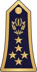 Général d'armée(Burkina Faso Army&nbsp;&nbsp;[لغات أخرى]‏)