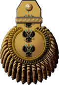 Адмиралъالبحرية الإمبراطورية الروسية (1904—1917)