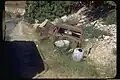 حطام شاحنة في حرب الاستقلال الإسرائيلية. 7 حزيران 1950 ، ممر القدس