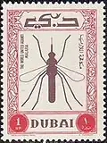 1 بيزة