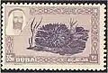 35 بيزة