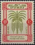 40 بيزة